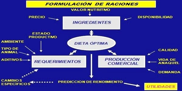 Formulación de raciones en aves - Image 1