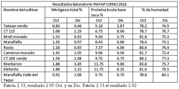 Forrajes perennes con irrigación como opción de engorda de becerros y mejoras en la reproducción del hato - Image 1