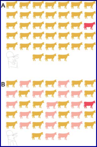 Diagnóstico de mastitis en un tambo problema - Image 25