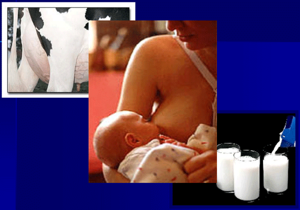 Diagnóstico de mastitis en un tambo problema - Image 44