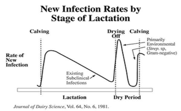 Diagnóstico de mastitis en un tambo problema - Image 32