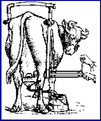 Diagnóstico de mastitis en un tambo problema - Image 11