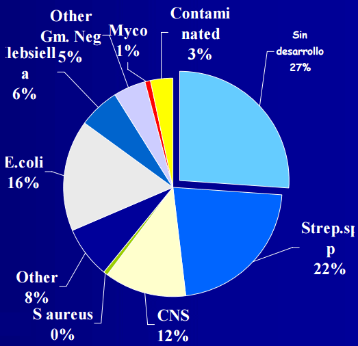 Diagnóstico de mastitis en un tambo problema - Image 29