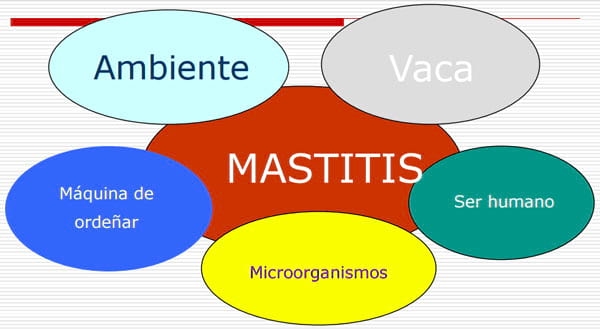  Nuevos desafíos para la salud mamaria - Image 2