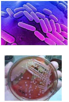  Nuevos desafíos para la salud mamaria - Image 48