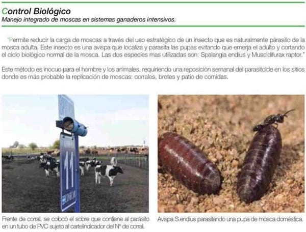  Nuevos desafíos para la salud mamaria - Image 34