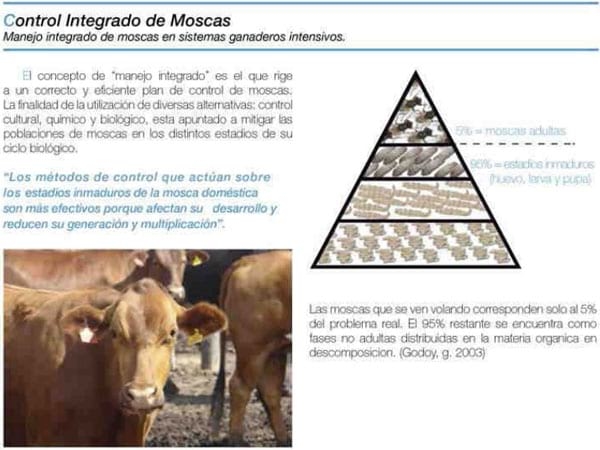  Nuevos desafíos para la salud mamaria - Image 32