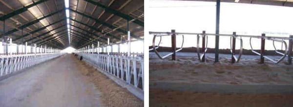  Nuevos desafíos para la salud mamaria - Image 19