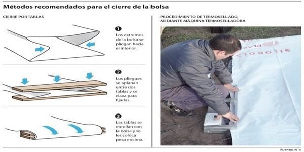 Almacenamiento de Soja y Maíz, en un contexto de alta humedad. Poscosecha campaña 2015/2016 - Image 5