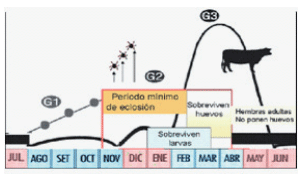 ¿Por qué es importante controlar la garrapata? - Image 3