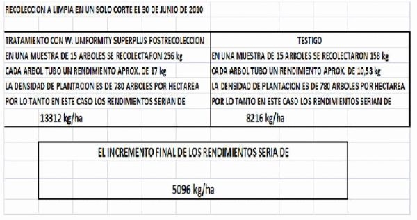 Inducción y diferenciación floral por reservas y equilibrios hormonales en: Cereza - Melocotón y Albaricoque - Image 8