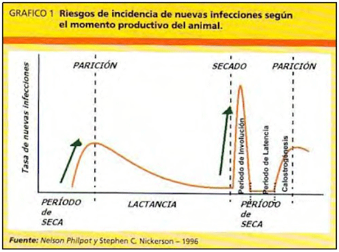 Factores que hacen a la calidad de leche en períodos de lluvia - Image 2