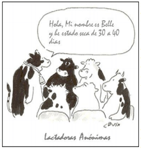 La duración del período seco, ¿afecta la producción de leche? - Image 1