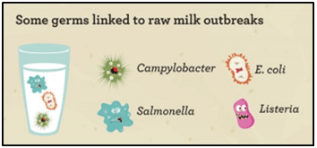 Cuán seguro es el consumo de leche cruda? - Image 1