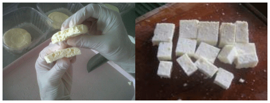 Calidad microbiológica de leches crudas en dos regiones del caribe colombiano. ¿se puede mejorar esta calidad? - Image 6