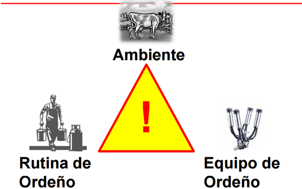 Cinco Factores Clave en Programas de Mejoramiento de Calidad de la Leche - Image 3