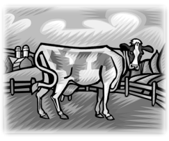 Cinco Factores Clave en Programas de Mejoramiento de Calidad de la Leche - Image 6
