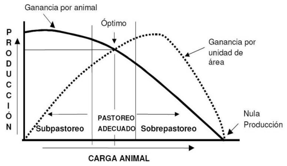Determinación de la capacidad de carga animal en los potreros - Image 2