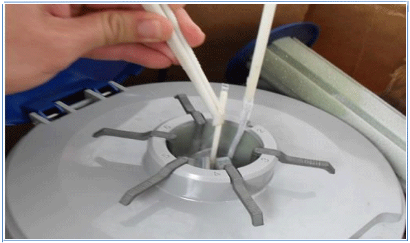 El uso de la técnica de inseminación artificial como pilar fundamental del mejoramiento genético de bovinos - Image 4