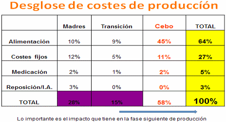 Indice de Conversión Global - Image 1