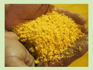 La harina de soja Express® adecuadamente procesada mantiene una alta digestibilidad y una mayor energía metabolizable - Image 1