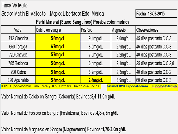 Diagnosis de Hipocalcemias en Vacas de Transición en Fincas lecheras de Trópico Venezolano - Image 17