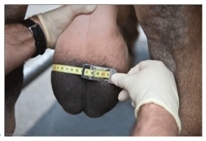 Conozca los Dep´s - Image 14