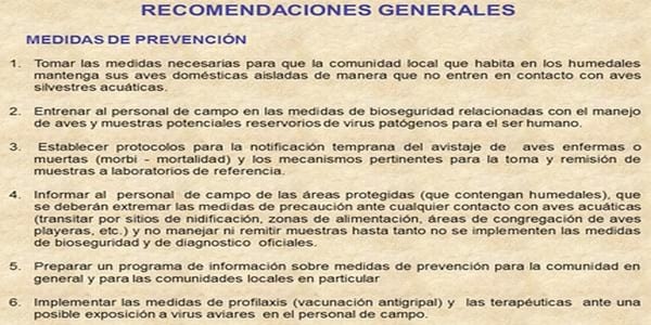 Influenza Aviar: Presencia de aves migratorias árticas en el territorio argentino - Image 22