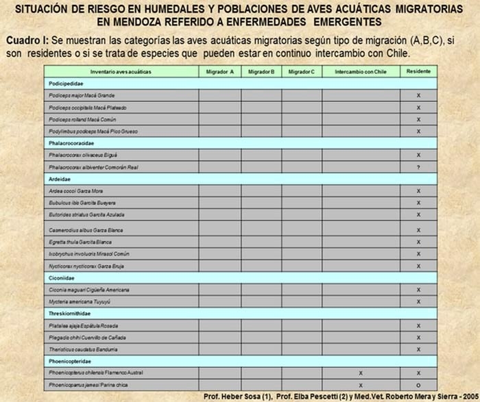 Influenza Aviar: Presencia de aves migratorias árticas en el territorio argentino - Image 4