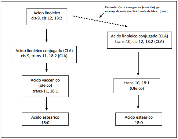 Estrategias Nutricionales para Manipular la Grasa de la Leche - Image 1