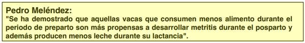 ¿Por qué bajan las defensas de las vacas en transición? - Image 2