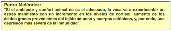 ¿Por qué bajan las defensas de las vacas en transición? - Image 1