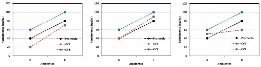 Estabilidad del rendimiento interanual en INTA Balcarce, Campañas 2013/14 a 2016/17 - Image 1