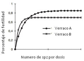 Novedades en el manejo reproductivo del cerdo - Image 3