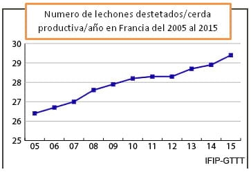Novedades en el manejo reproductivo del cerdo - Image 1