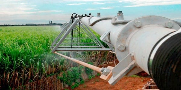 El impacto de la tecnología en la agricultura - Image 1