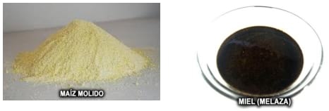 Aspectos Nutricionales de importancia en la producción lechera tropical - Image 17