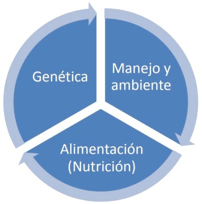 Aspectos Nutricionales de importancia en la producción lechera tropical - Image 1