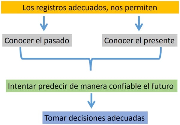 Manejo Reproductivo para mejorar la Productividad Lechera - Image 2