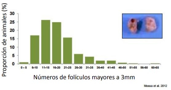 Manejo Reproductivo para mejorar la Productividad Lechera - Image 11