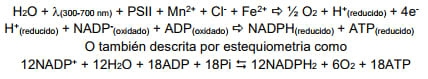 Manejo sustentable de maiz - Image 3