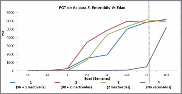 Eficacia de una vacuna triple inactivada oleosa contra Salmonella en gallinas ponedoras infectadas experimentalmente con Salmonella Enteritidis - Image 5