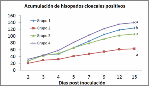 Eficacia de una vacuna triple inactivada oleosa contra Salmonella en gallinas ponedoras infectadas experimentalmente con Salmonella Enteritidis - Image 3