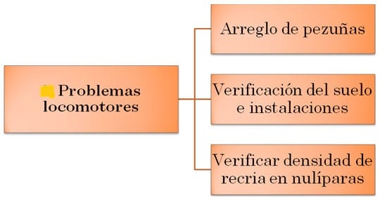Mortalidad en Reproductoras porcinas - Image 8