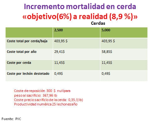 Mortalidad en Reproductoras porcinas - Image 2