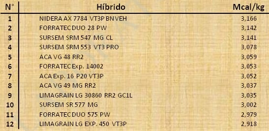 Aptitud Forrajera- Evaluación de híbridos de maíz.- Campaña 2016 – 2017. Determinación del rendimiento y la calidad de la materia seca. - Image 79