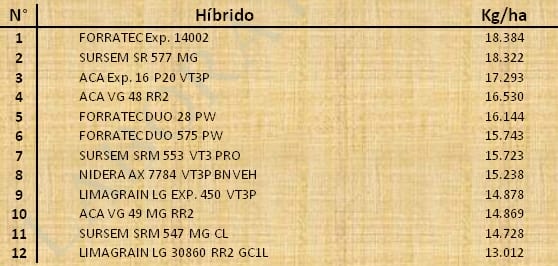 Aptitud Forrajera- Evaluación de híbridos de maíz.- Campaña 2016 – 2017. Determinación del rendimiento y la calidad de la materia seca. - Image 84