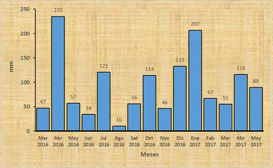 Aptitud Forrajera- Evaluación de híbridos de maíz.- Campaña 2016 – 2017. Determinación del rendimiento y la calidad de la materia seca. - Image 83