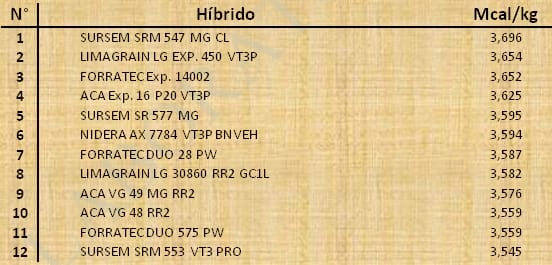 Aptitud Forrajera- Evaluación de híbridos de maíz.- Campaña 2016 – 2017. Determinación del rendimiento y la calidad de la materia seca. - Image 116