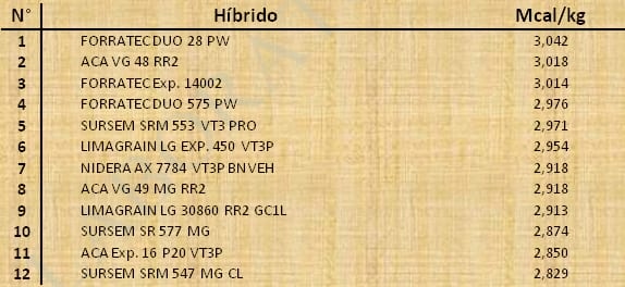 Aptitud Forrajera- Evaluación de híbridos de maíz.- Campaña 2016 – 2017. Determinación del rendimiento y la calidad de la materia seca. - Image 55